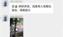 桂林爆料视频,揭秘神秘景点背后的故事