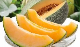 瓜州免费吃瓜,畅享甜蜜瓜果盛宴