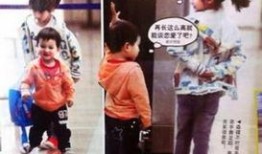 田亮爆料妻子是真的吗视频,妻子真实身份曝光，真相令人震惊！