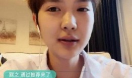 王子凡直播爆料视频大全,揭秘精彩瞬间与幕后故事